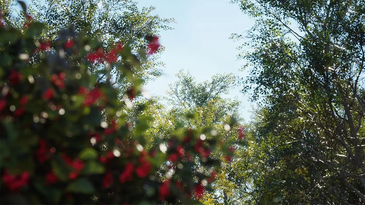 en iyi cinema 4d kursu